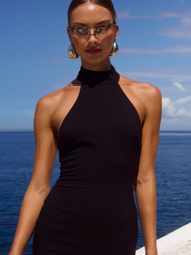 Tulle Hanging  Neck Panel Evening Gown