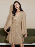 Chic Banquet Mini Dress