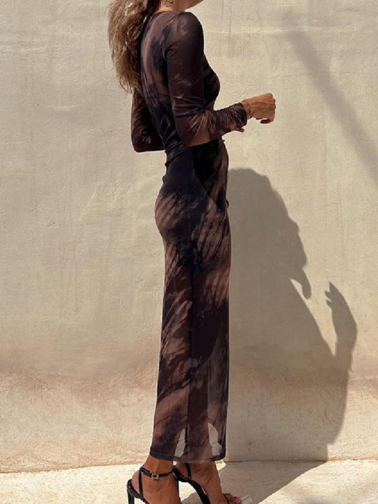 Sheer Print Bodycon Dress